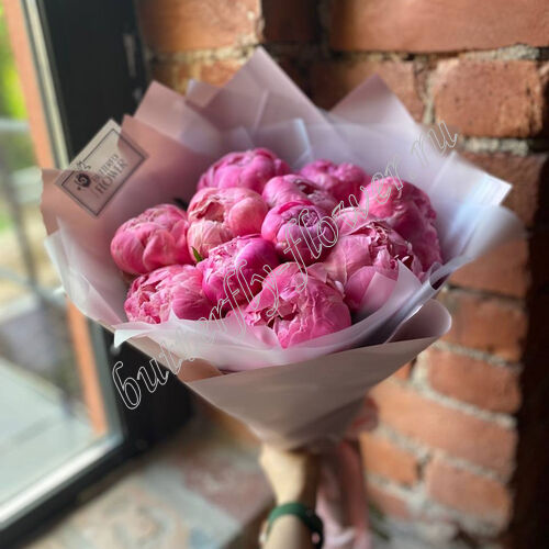 Феликс Суприм