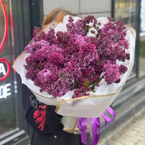 Хаббард